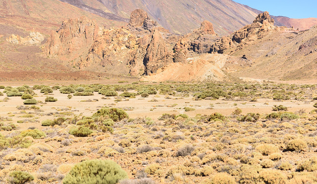 El Teide plains