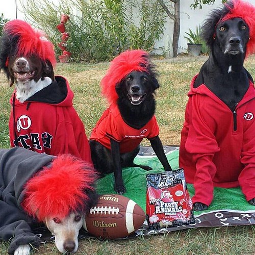 Do you have your #Utes gear on today? Show us how you're reppin' the U today with the hashtag #RedWhiteFriday for a chance to win a #UofU tailgate party package. #GoUtes! ????⚪️???? ????: @10cowwife  #universityofutah