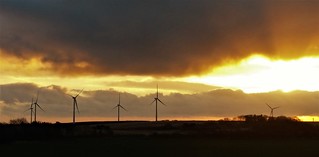 Wind Turbines and Golden Sunrise - Chevington