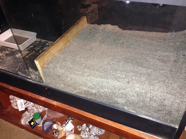 Crabitat in progress with 8+ inches of sand on the right hand side and a retaining wall