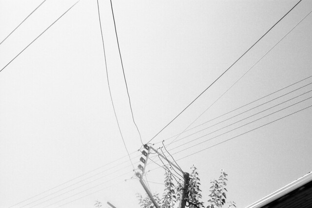 Wire [analog]