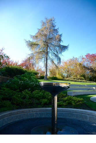 UBC Botanical Gardens | by majeric