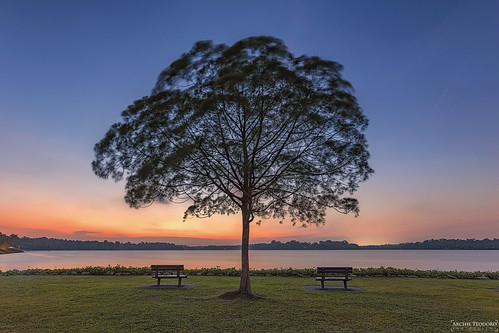 canon 6d 1635mm sunset singapore upper seletar reservoir tree beautiful proportion symmetry balance bench blue sky gt2541 phottix aion landscape
