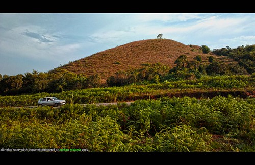 india south hill karnataka chikmagalur aldur malenadu westernghat devaramane mudigere