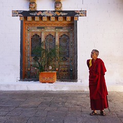 Contemplation. #bhutan #travel #love #happydays