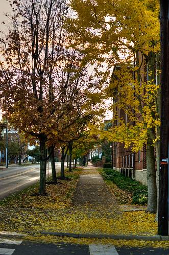 autumn fall yellow sunrise dawn virginia nikon downtown charlottesville photomatix tonemapped bobmical