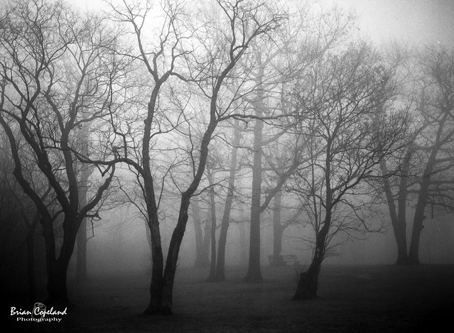 And I embraced Where lovers rot... Her ghost in the fog