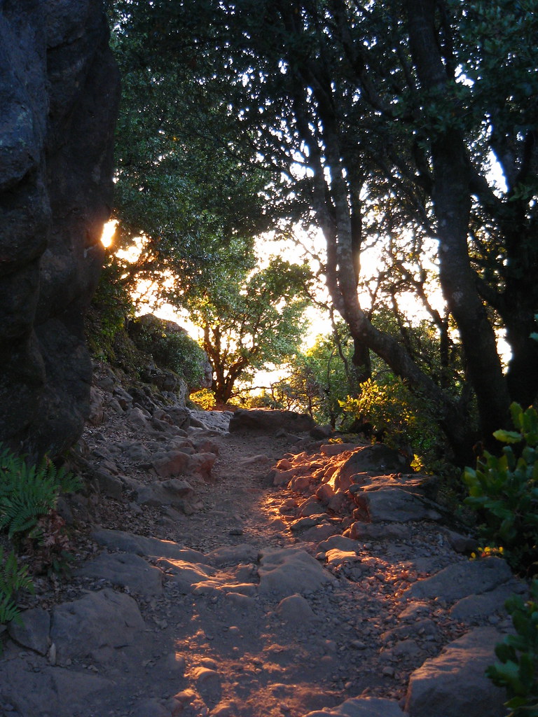 Filter-lit Path