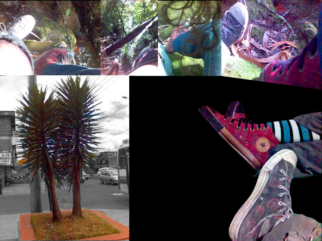 [Recuerdo] de una extrania visita | se ve completo en: huell… | Flickr