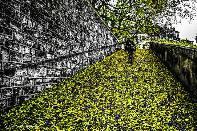 Geneva 2014 - Green-Yellow carpet