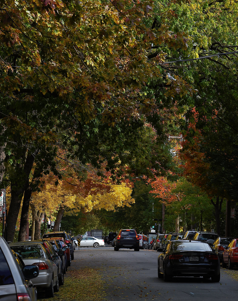 Les couleurs d'automne arrivent en ville