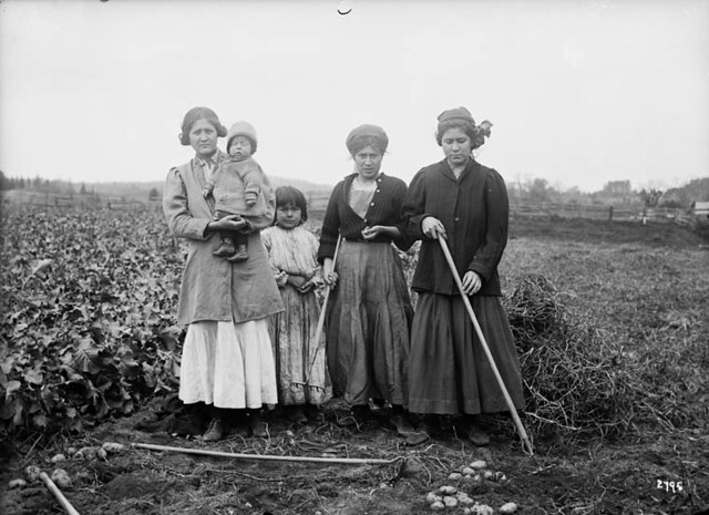 Three First Nations women, a young girl and infant standing in a potato field, Woodstock, New Brunswick / Trois femmes des Premières Nations, une jeune fille et un bébé dans un champ de pommes de terre, Woodstock (Nouveau-Brunswick)