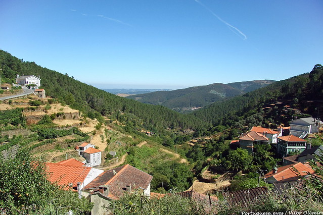Sardal - Portugal