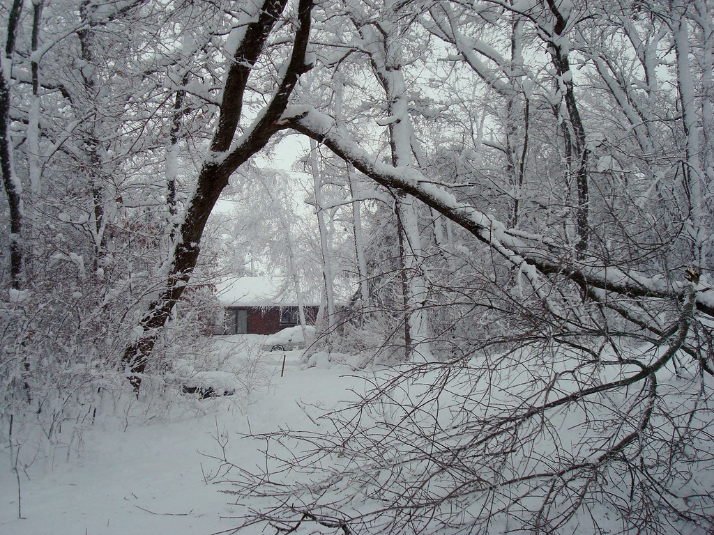 Winter Storm of Dec. 2009 Aftermath 2