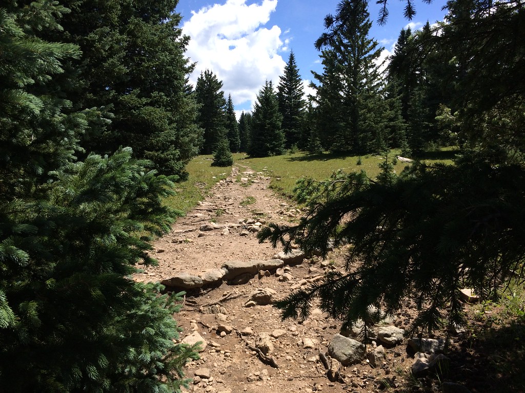 Skyline Trail (251)