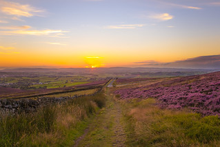 Summer's Evening on the Moors