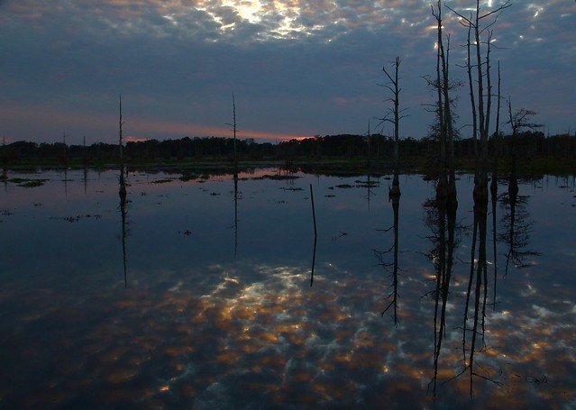 Black Bayou Lake Sunset