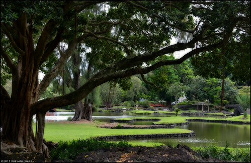 park landscape hawaii scenery bigisland hilo orton queenliliuokalanigardens