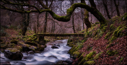 RESERVA DEL SAJA. | by TOYOGRACOR