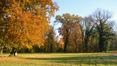 Herbst im Park Sannsouci