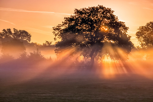 light mist misty sunrise landscape dawn sony rays sunrays warwickshire bidfordonavon a6000 jactoll