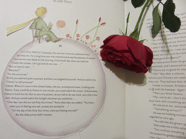 Antoine de Saint-Exupéry: “Le Petit Prince” – “The Little Prince.” For the love of a rose. Red rose: Traviata.