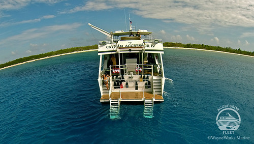 Cayman Aggressor IV