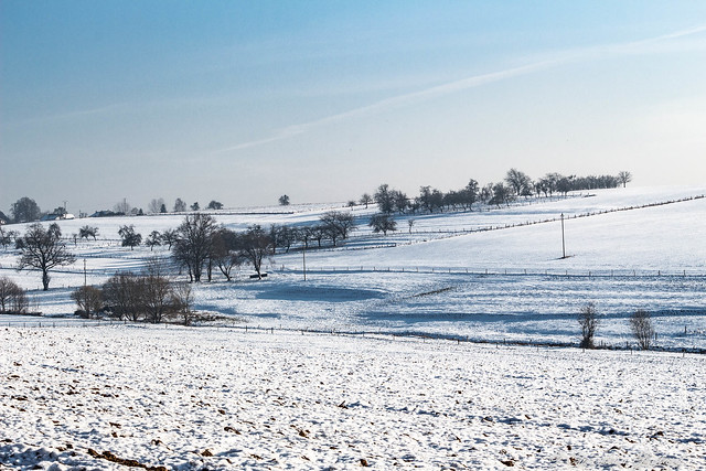 Winter landscape in Lorraine