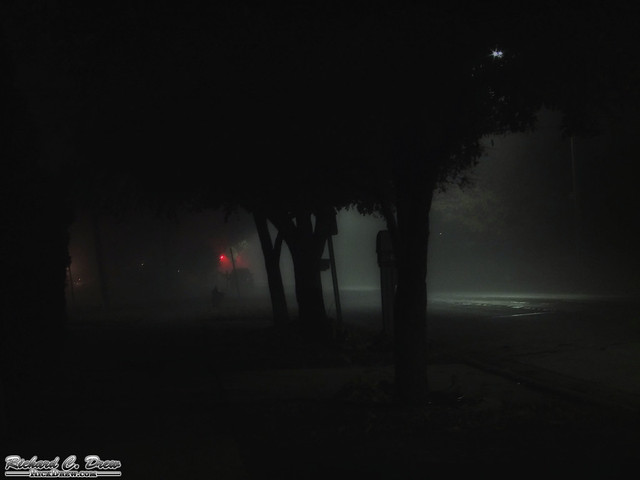 Foggy last night - Oak Lawn, IL