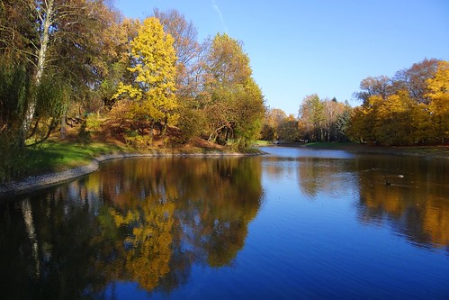 park blue autumn trees fall nature water yellow reflections landscape pond view poland polska lodz łódź parknazdrowiu