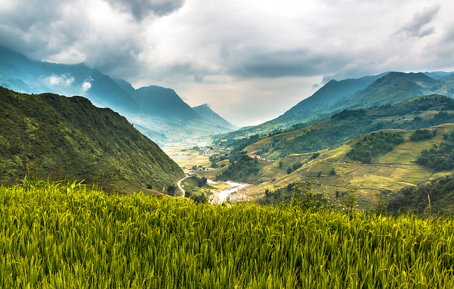 Cloudy Valley - Sapa, Vietnam