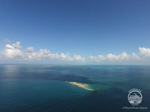 Bahamas Aggressor