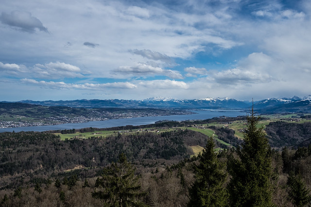 Zürichsee - Alpenpanorama / Albishorn ZH