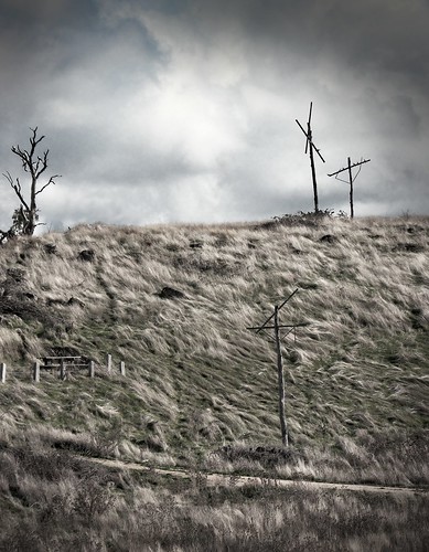 abandoned bush desaturated lonely desolate telegraph windblown hss