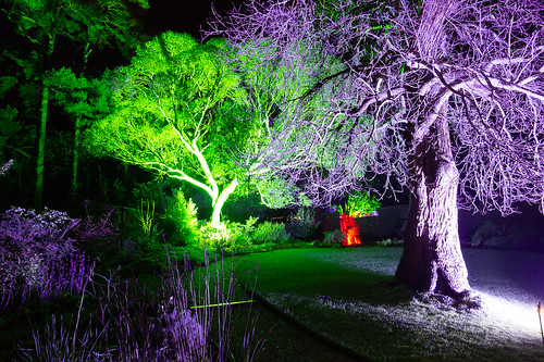 christmas xmas longexposure night garden landscape outdoor noel nationaltrust magical fairyland enchanted floodlights knightshayescourt