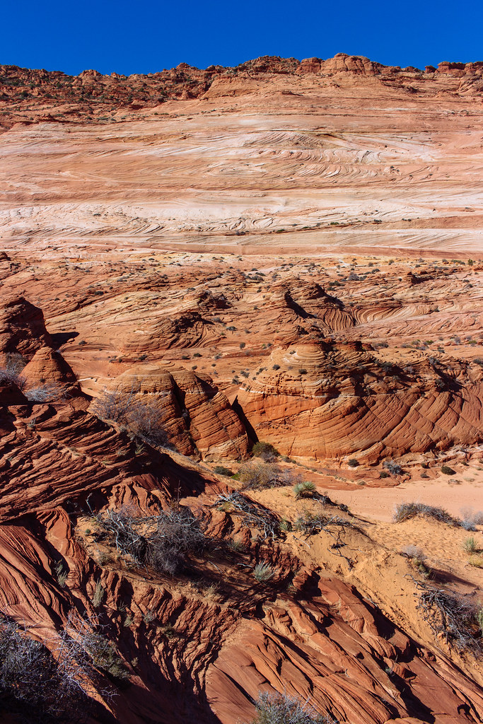 Hundreds of feet of orange and white layers of sedimentary rock rise from valley floor to ridgeline