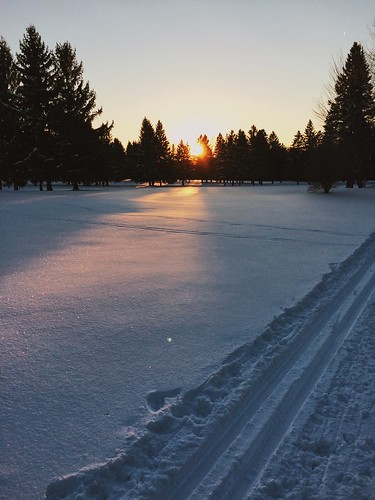 sun sunlight winter snow ski skiing asbestos golf trees tree sapin nature dawn twilight