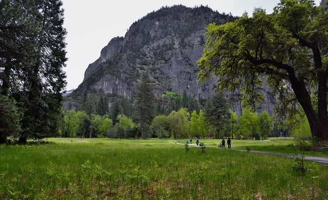 People Enjoying Strolls through Cook’s Meadow (Yosemite National Park)