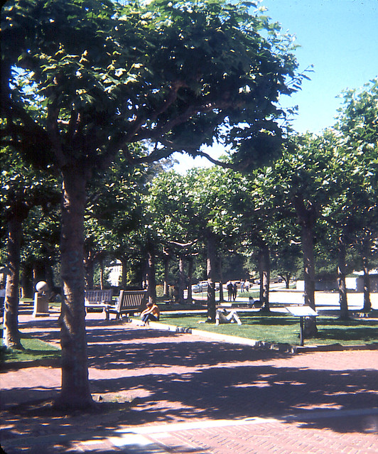 Below the Campanile, Berkeley (1968)