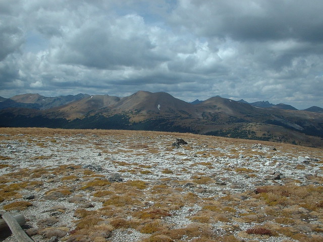 Colorado Tundra