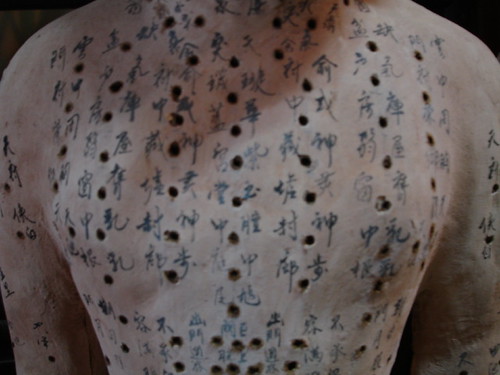 Mapping the Chest | by bweisner