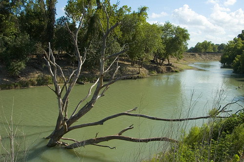 travel tree nature river landscape dead texas victoria guadalupe