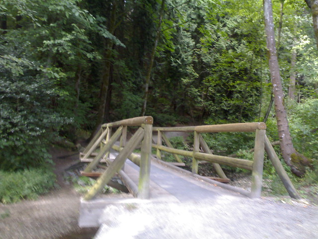 Byrne Creek Ravine Park Bridge