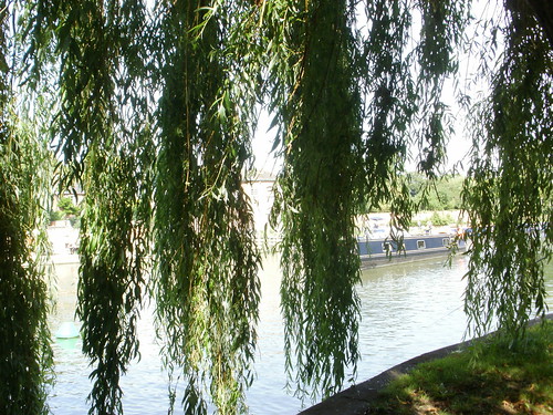 Willows and barge 