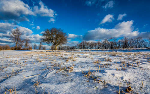 winter zima žumberak hrvatska croatia nature priroda tree clouds snijeg snow landscape