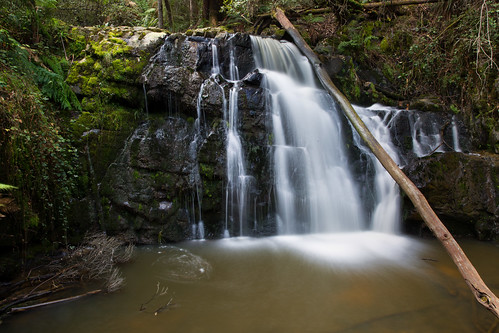 fall nature waterfall log falls tasmania wilderness lilydale lilydalefalls