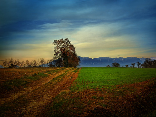 autumn trees italy mountains fall landscape countryside italia outdoor path country lane friuli feagne fagagnqa