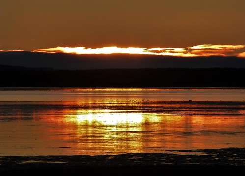 reflections sunset water nature weather winter findhorn silhouette birds