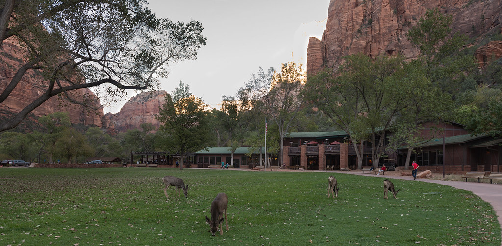 Dusk at the Zion Lodge