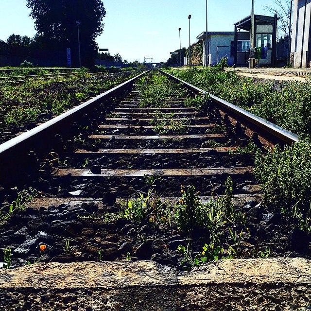 La vita è il treno, non la stazione ferroviaria. (Paulo Coelho)